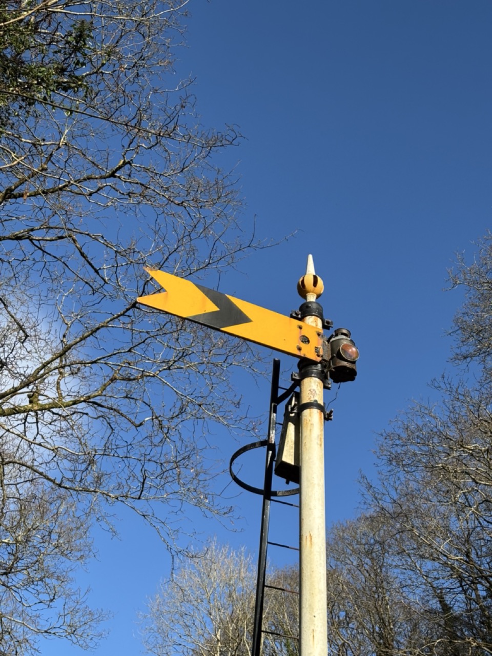 Photograph of a yellow and black train signal in front of tree and blue sky